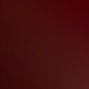 Meet your Posher, Maddie